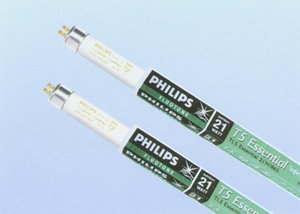 �����ֱ�׼T5�ƹ�